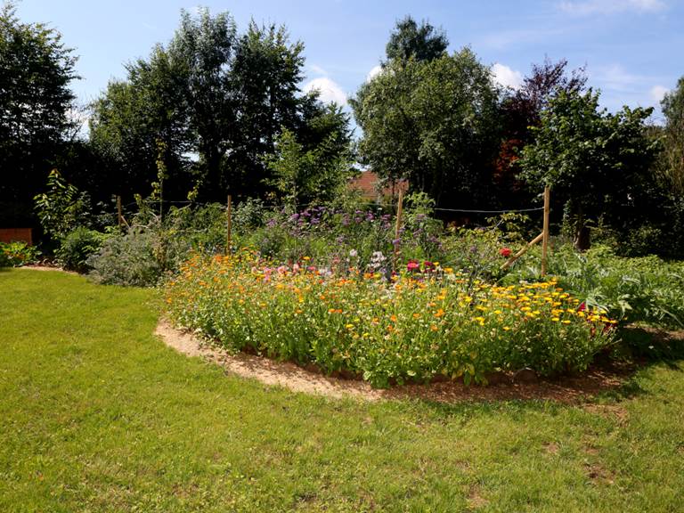 Des vivaces et des fruitiers palissés