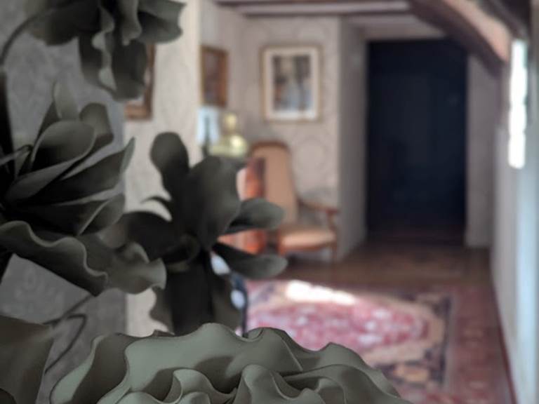 PXL_20250411_145327070.PORTRAIT