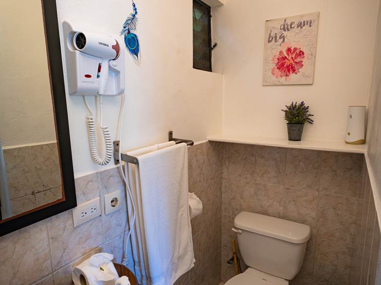 FUJIFILM X-T5_02_décembre_2025-46 50pp-gallery