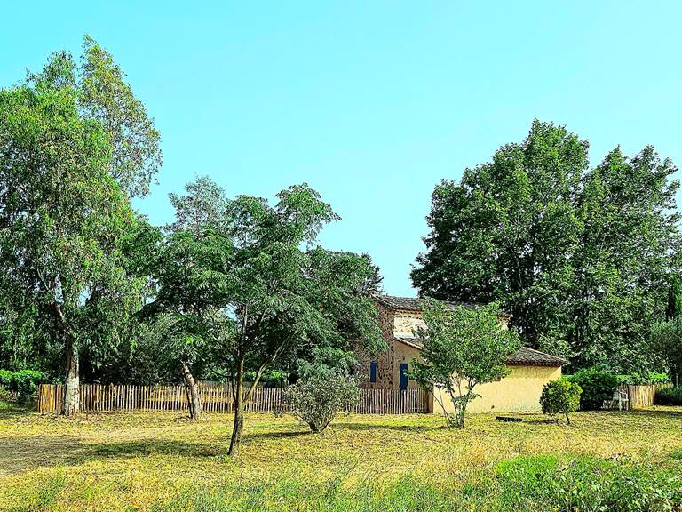 VIGNOBLE LE PLATANE