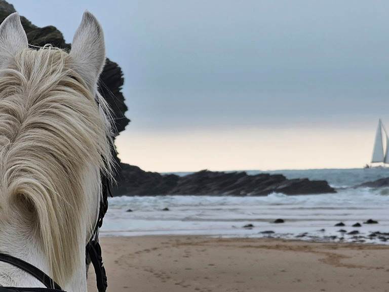 Nous sommes a 5mn de la mer en voiture et 30 mn par les voies verte en vélos