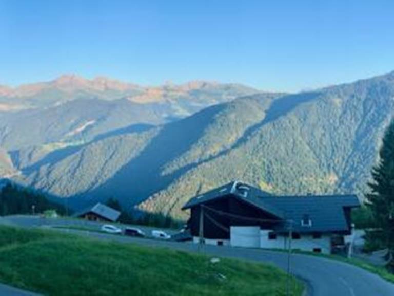 Panorama été site