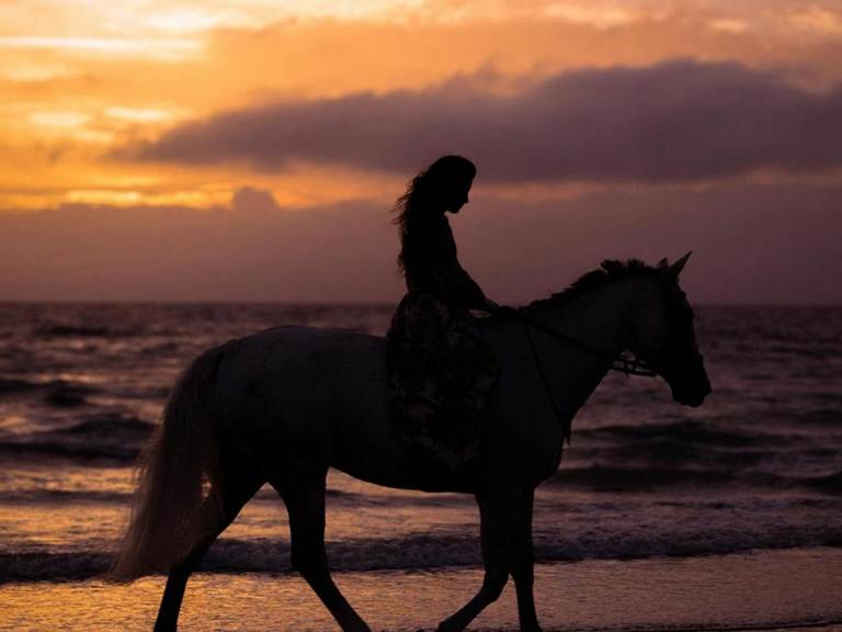 WhatsApp Image 2025-10-15 at 16.53.09