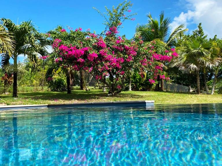 Mounkapoussé Saint-Louis Marie Galante piscine