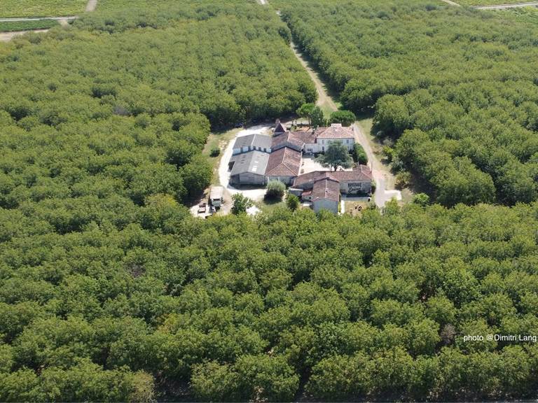 vue aerienne 1 dimitri