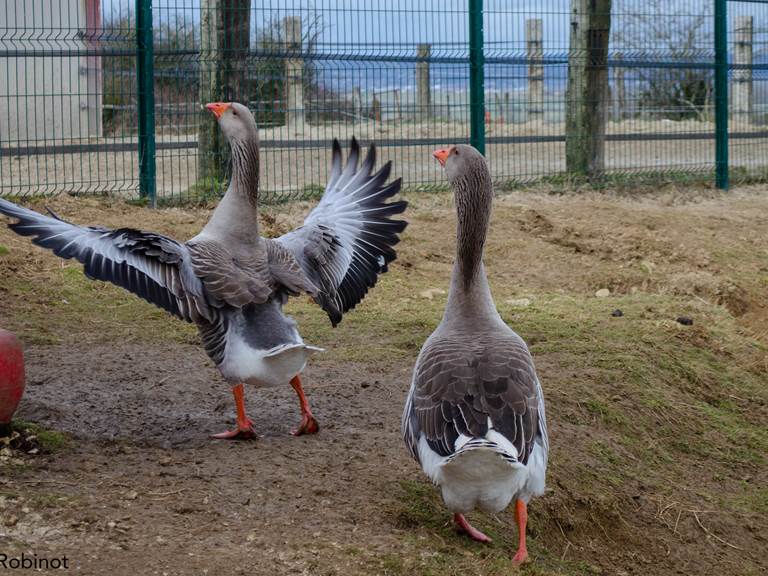 14022022-DSC_0563