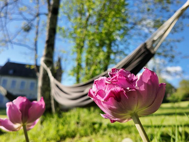 Moments de farniente dans les hamacs du Manoir du Colombier, tulipes printanières et vue imprenable sur les montagnes.