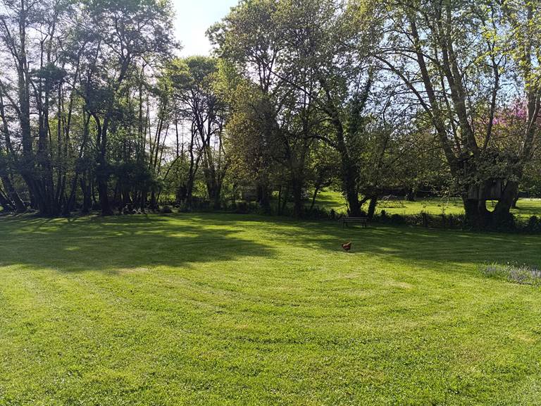Camping à l'ombre des grands arbres