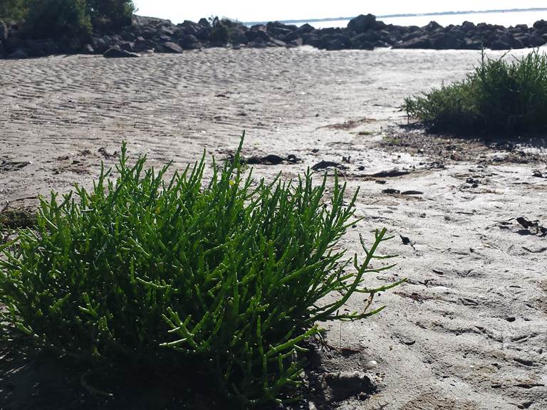 20150805_181108