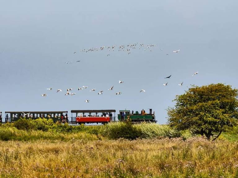 Petit Train de la Baie de Somme Gites La Baie des Remparts Picardie France