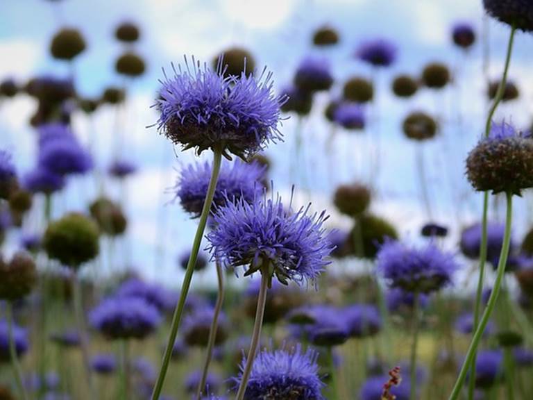 Beautés cachées de la nature