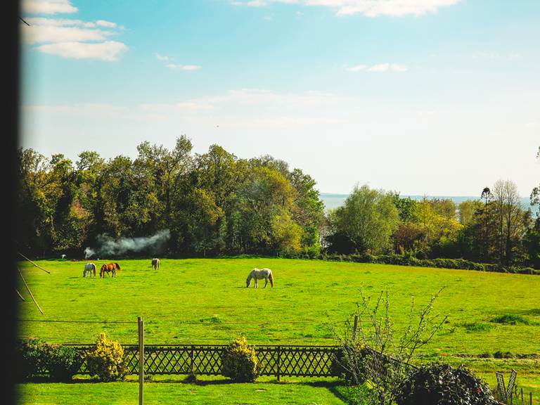 Côté Sud : Vue de la chambre sur la campagne, les chevaux et la baie de La Forêt-Fouesnant et au loin les îles Glénan selon météo