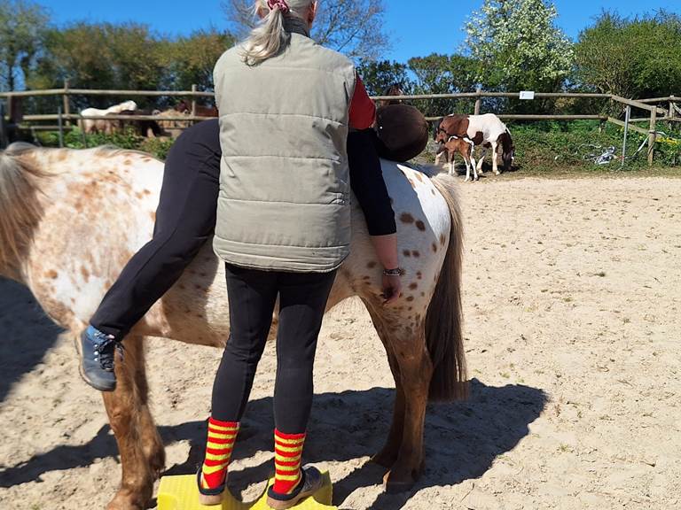 Equinergie Soulager vos douleurs physique, psychologique grâce a nos chevaux avec l'énergie