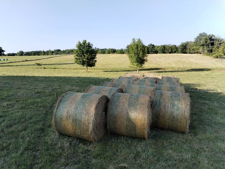 vue pré - bottes de foin