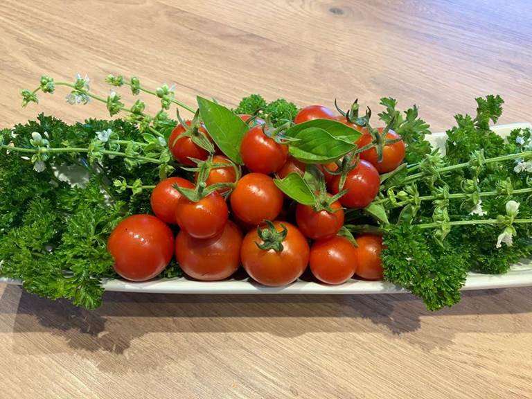 Tomates cerises et aromates de notre jardin