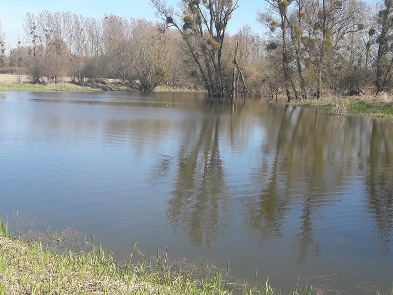 Notre étang privé à 800 m du gîte