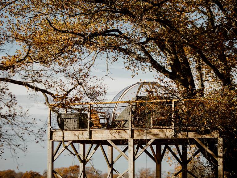 La Bulle perchée à 6m de hauteur