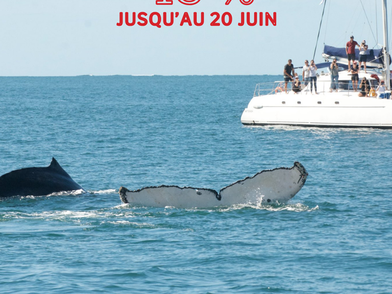 cata baleine-presta