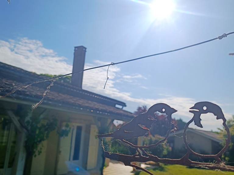 location Gîtes, chambre d'hôtes et table d'hôtes gastronomique à Casteljaloux Lot et Garonne, piscine, jacuzzi et spa