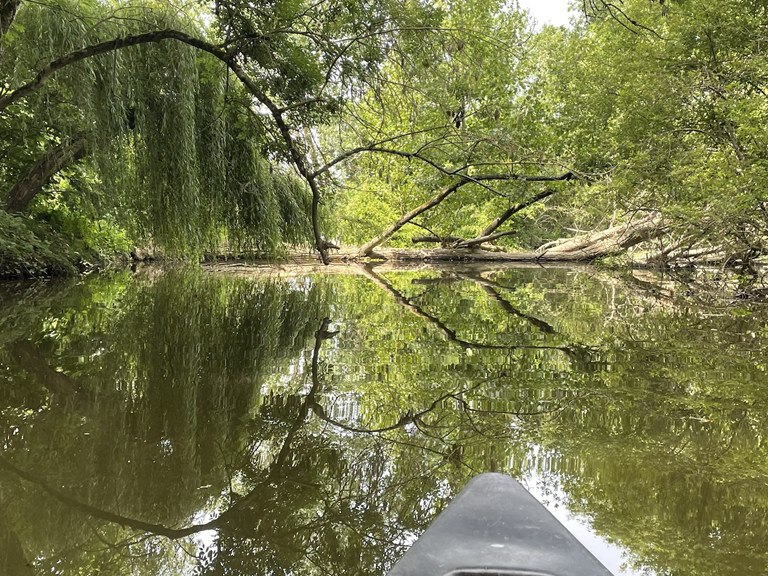 Nous partons explorer cette forêt vierge