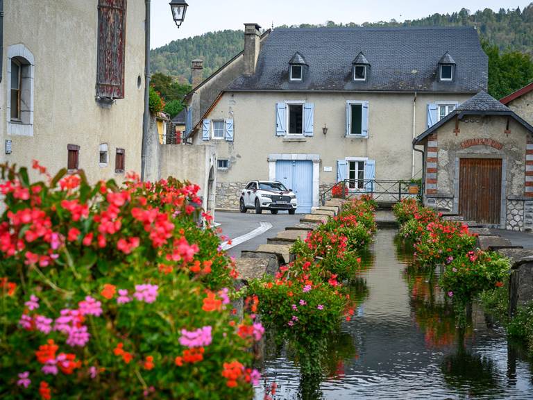 Le canal du moulin fleuri en été