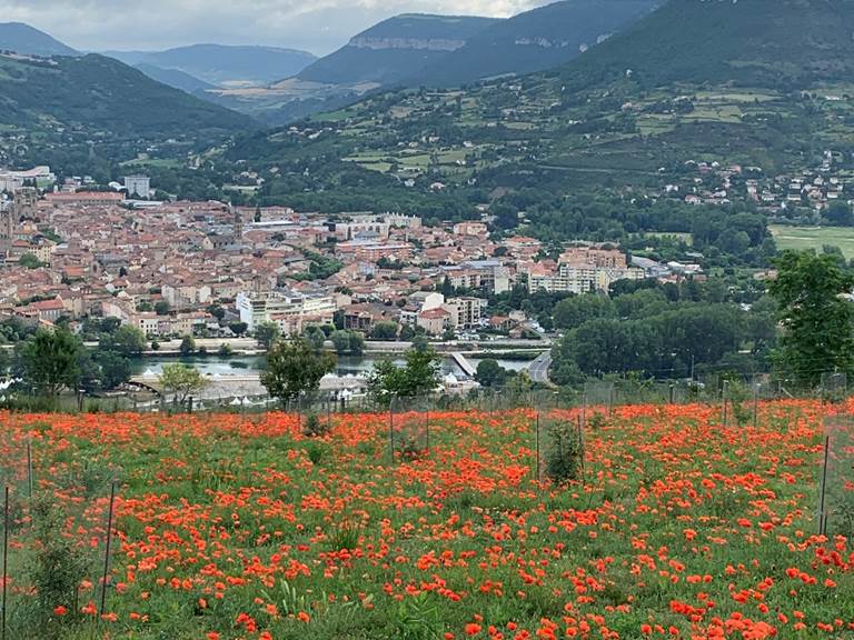 VUE DE LA TERRASSE