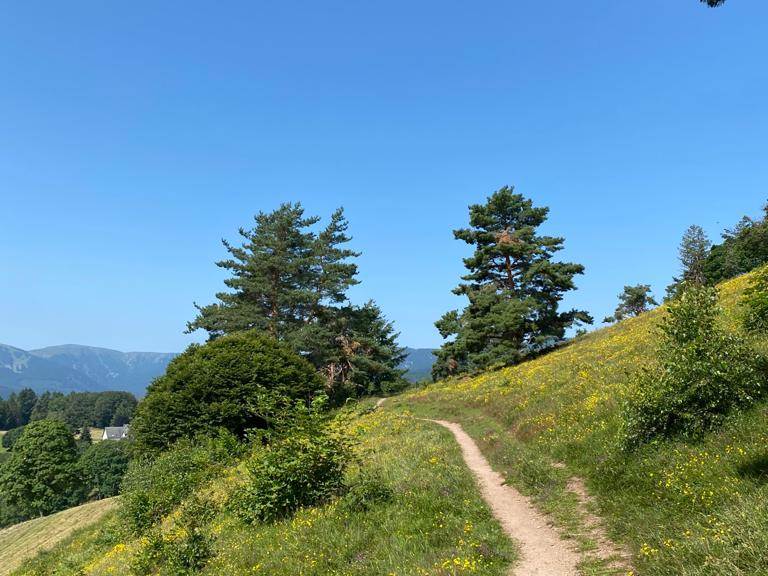 Chemin de randonnée