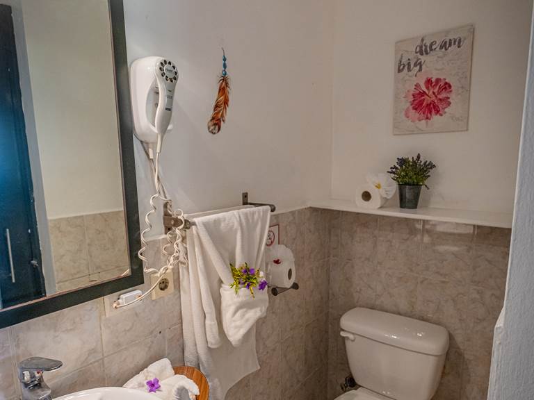 FUJIFILM X-T5_02_décembre_2025-64 50pp-gallery