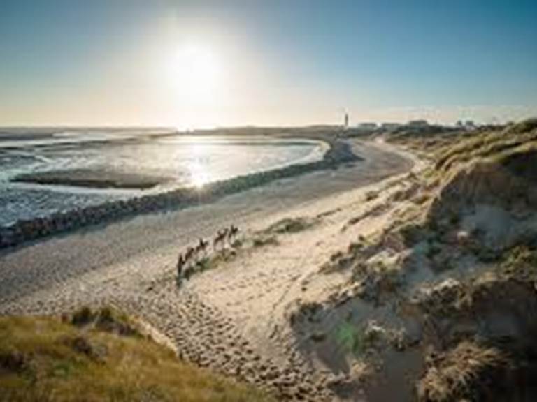 Baie des phoques - Location de vélos Berck -
