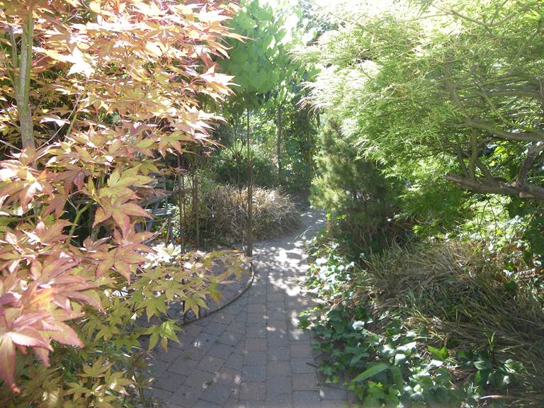 jardin