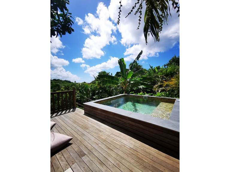 piscine-gite-vue-tropicale