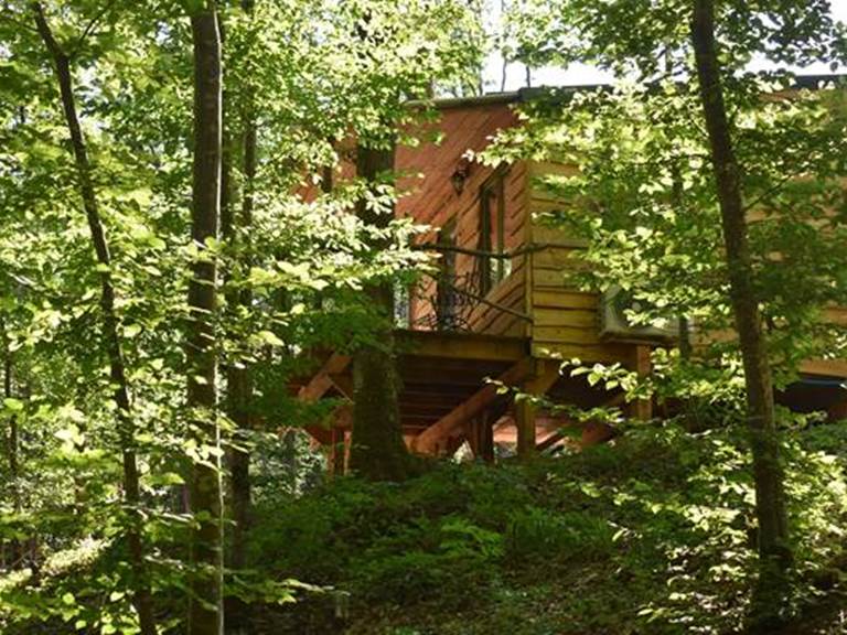 cabane