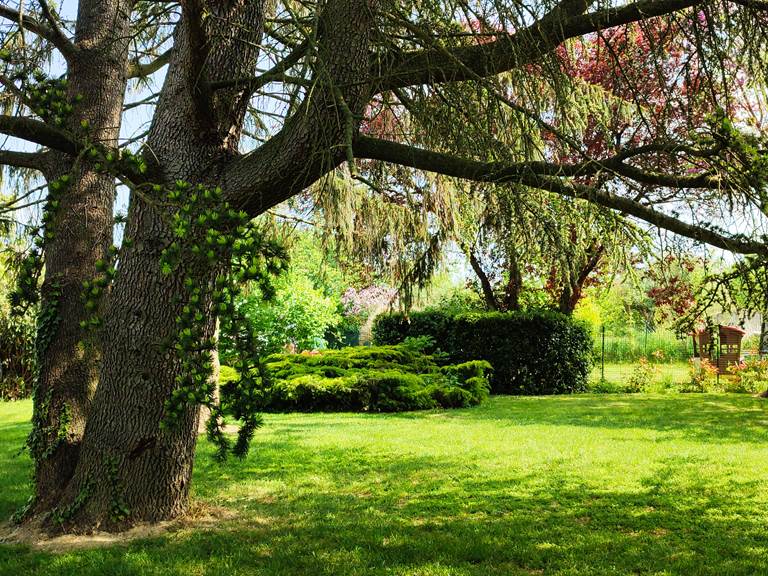 Notre jardin arboré