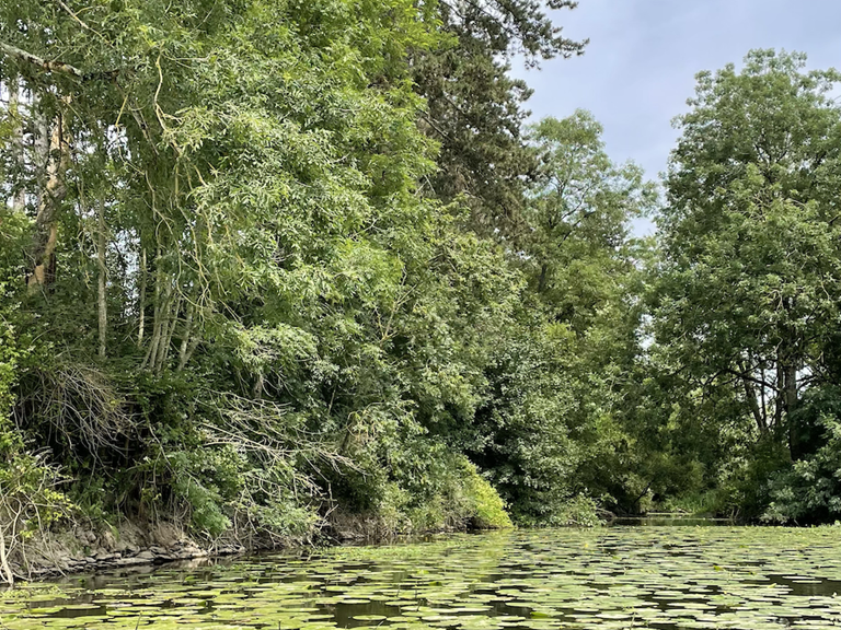 Une végétation luxuriante