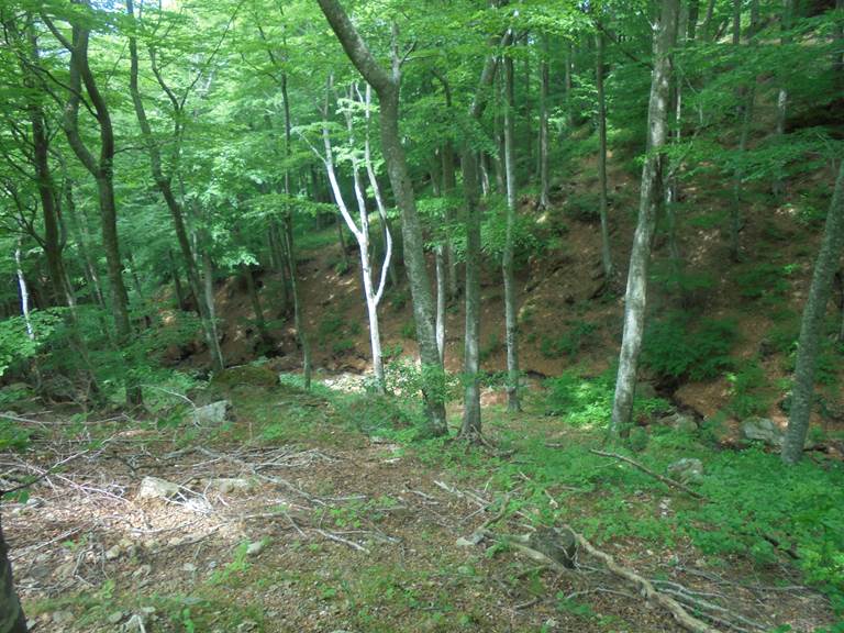 La montagne de Laroque des Albères