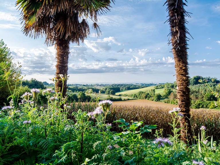 Les chemins de Berdis Maison d'hôte  Chalosse  Landes  Vue 3