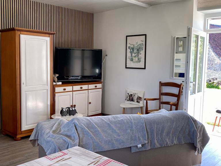 Salon rénové avec grande télé