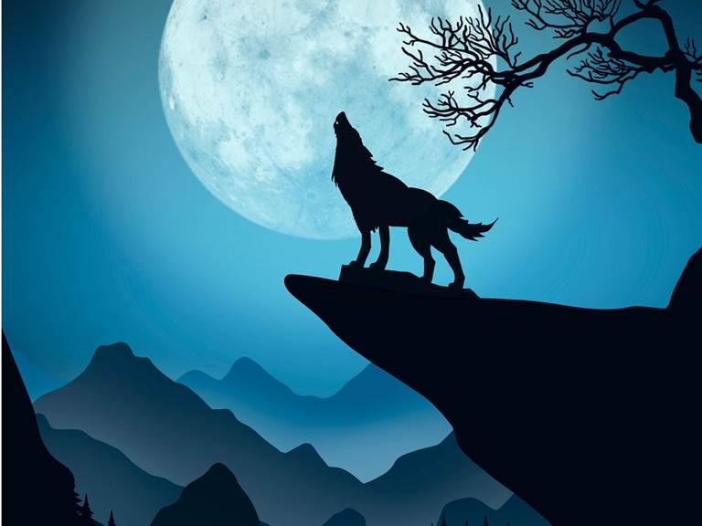 Loup garou libre de droit