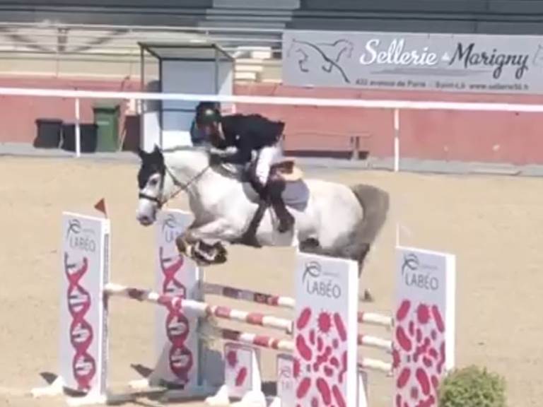 Kiss me des forets, 14 parcours sans faute sur 18 à 5 ans