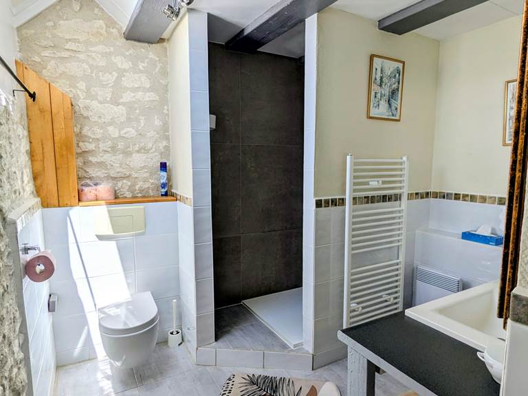 bathroom-large-shower-cachette-jaulnay-gites-de-famille