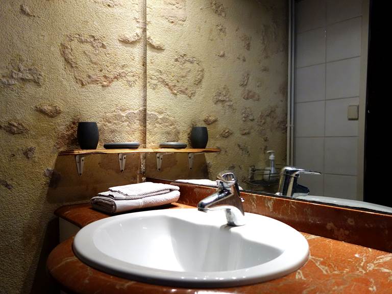 Salle de bain de l'Appartement Gascogne