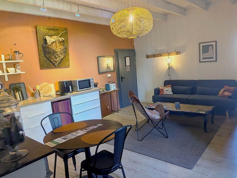 16 bis gite hotel-albi-marssac-salon-cuisine-appartement