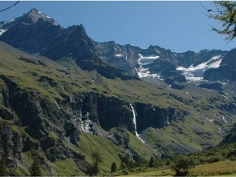 Image1