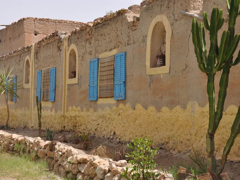 Ouijjane - Tiznit - sous les palmiers bleus - Clôture et cactus