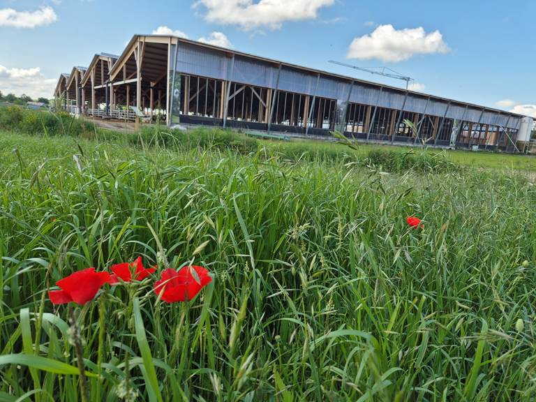 Ferme des Délices Foréziens à Saint Cyr les Vignes