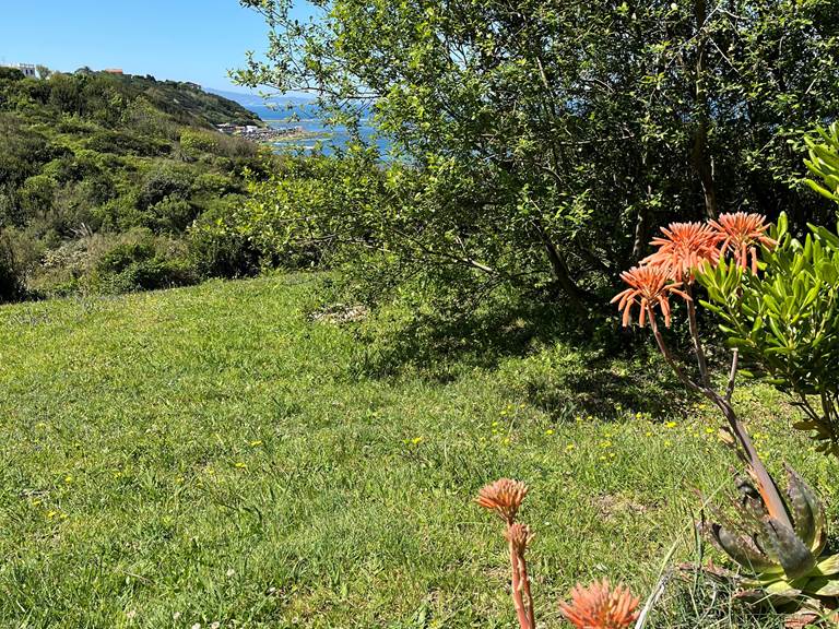 une autre partie du jardin