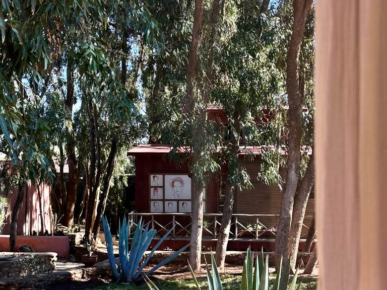 Agaves, pelouse de zoysia, aloes, eucalyptus...