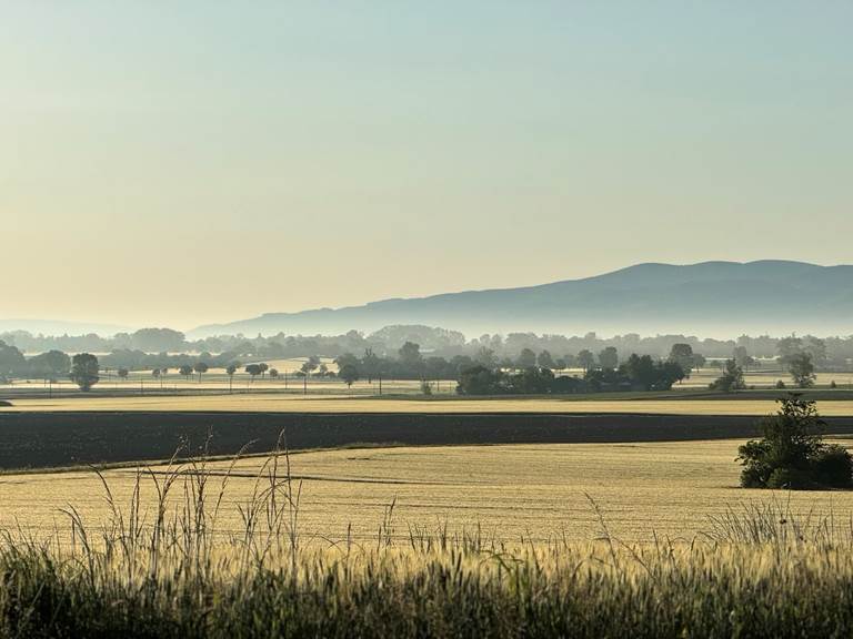 campagne-lauragaise-lever-soleil