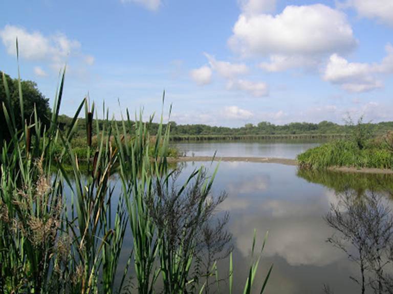Lac de Virelles - Crédit : Wikipedia, Virelles Nature
