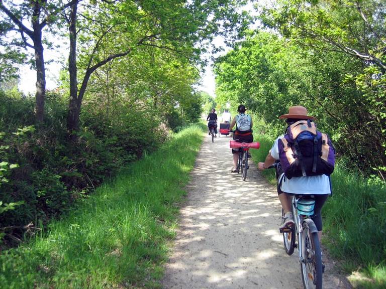 Location de vélos électriques avec remorque, siège enfant